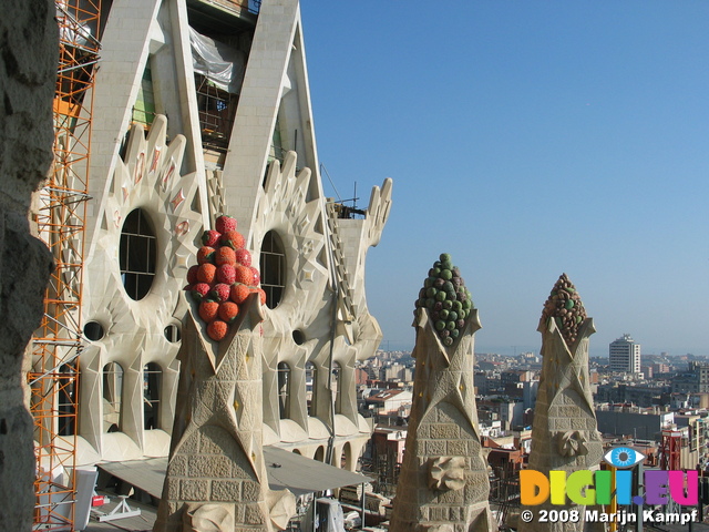 20865 Fruit and facade